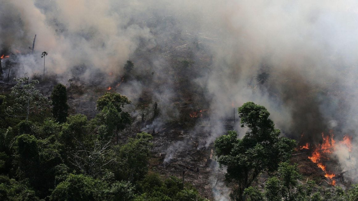 آتش سوزی جنگل‌های آمازون