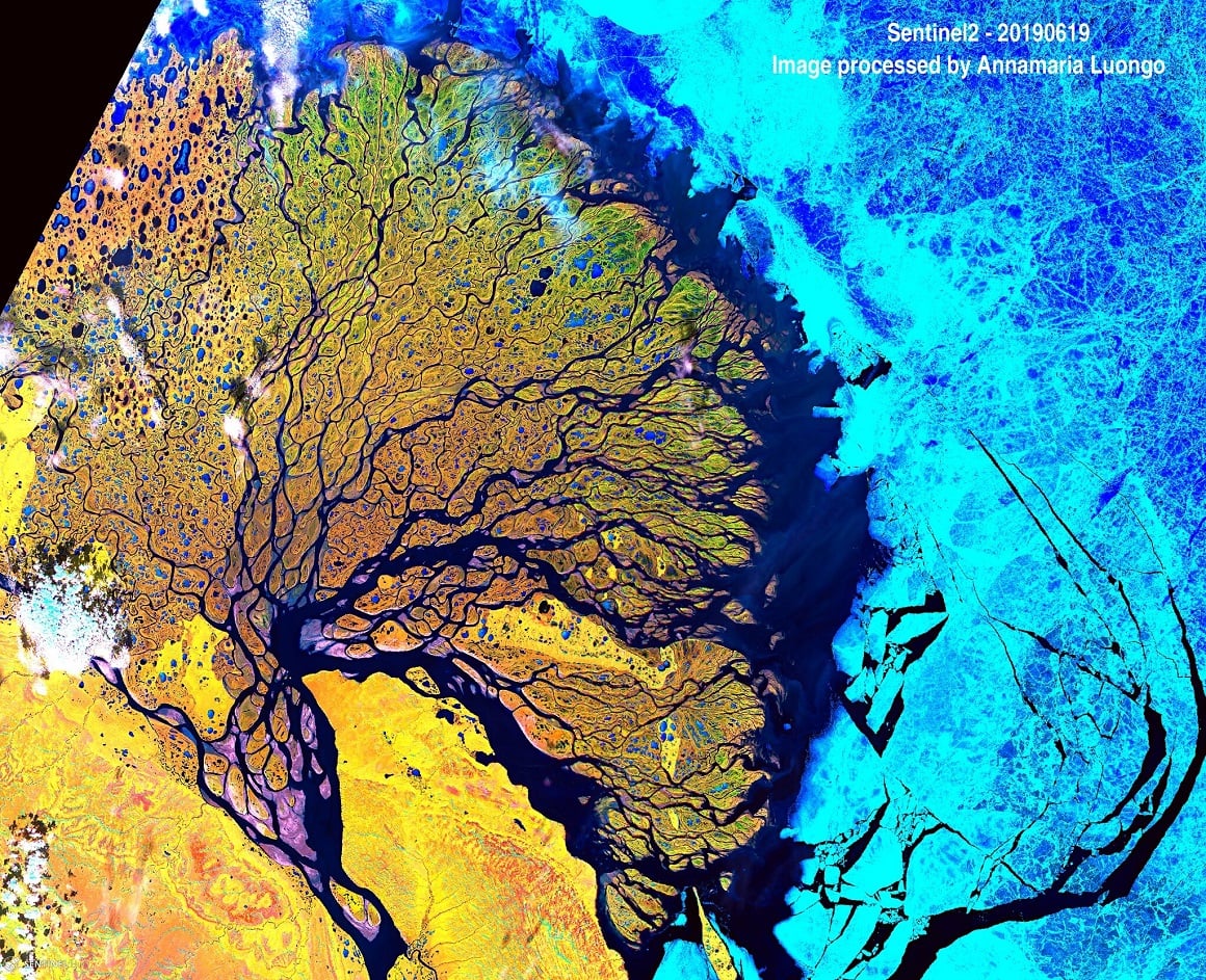 تصاویر سال 2019 زمین از فضا - دلتای رودخانه لنا