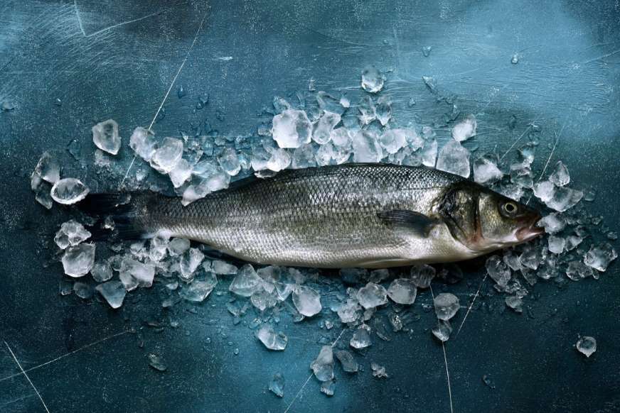 8. پوست ماهی برای بهبود سوختگی بسیار مفید است